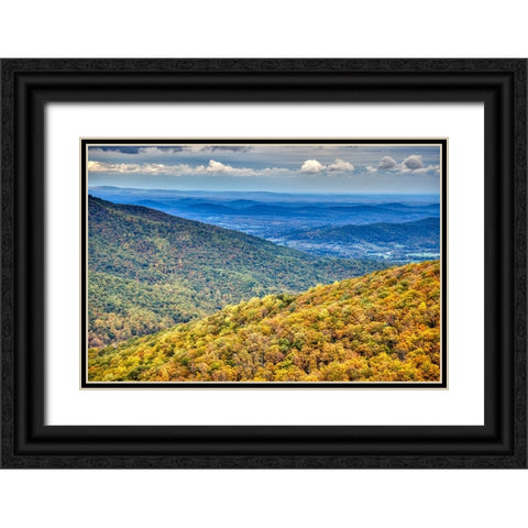 USA-Virginia-Shenandoah National Park-fall color Black Ornate Wood Framed Art Print with Double Matting by Looney, Hollice