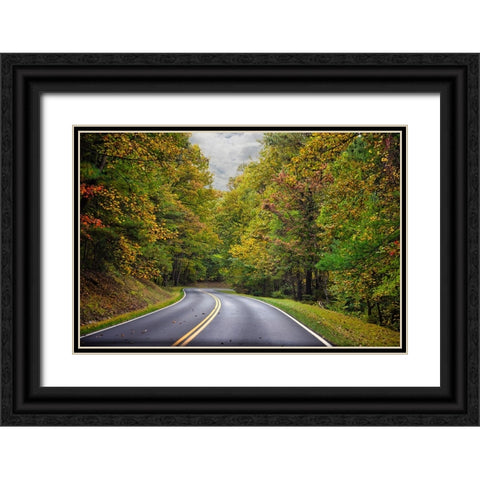 USA-Virginia-Shenandoah National Park-fall color along Skyline Drive Black Ornate Wood Framed Art Print with Double Matting by Looney, Hollice