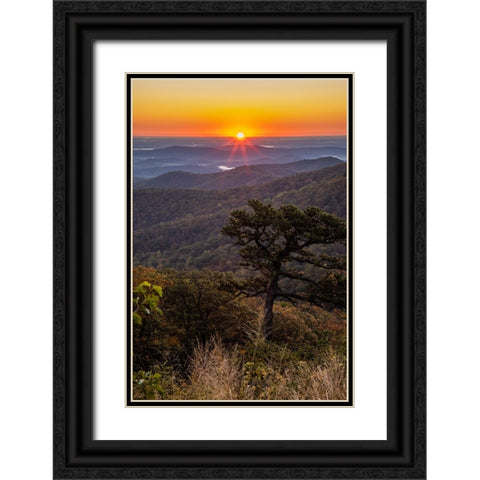 USA-Virginia-Shenandoah National Park-Sunrise along Skyline Drive in the Fall Black Ornate Wood Framed Art Print with Double Matting by Looney, Hollice