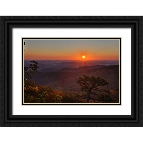 USA-Virginia-Shenandoah National Park-Sunrise along Skyline Drive in the Fall Black Ornate Wood Framed Art Print with Double Matting by Looney, Hollice