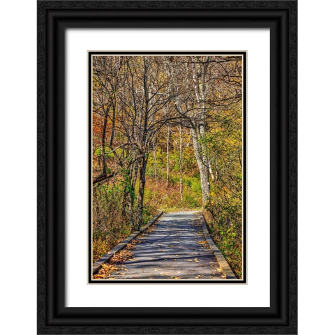 USA-Virginia-Shenandoah National Park-fall color in the park Black Ornate Wood Framed Art Print with Double Matting by Looney, Hollice