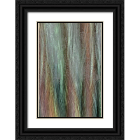 USA-Washington State-Seabeck Forest fantasy composite in Guillemot Cove Nature Preserve Black Ornate Wood Framed Art Print with Double Matting by Jaynes Gallery