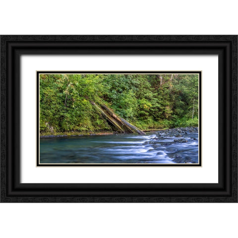 USA-Washington State-Olympic National Forest Rapids on Duckabush River Black Ornate Wood Framed Art Print with Double Matting by Jaynes Gallery