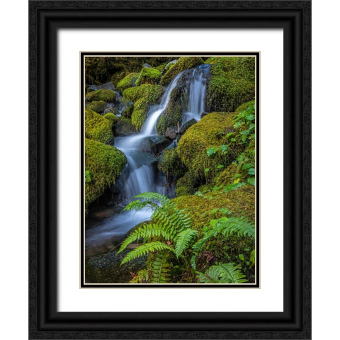 USA-Washington State-Olympic National Park Cedar Creek cascades through moss- covered boulders Black Ornate Wood Framed Art Print with Double Matting by Jaynes Gallery
