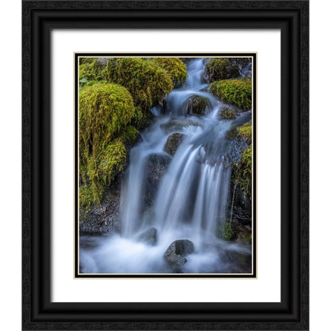USA-Washington State-Olympic National Park Cedar Creek cascades through moss- covered boulders Black Ornate Wood Framed Art Print with Double Matting by Jaynes Gallery
