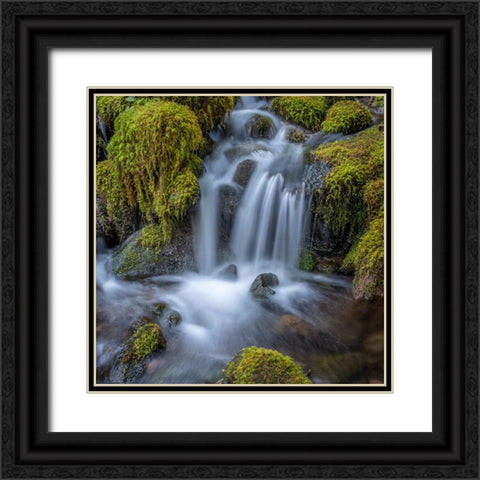 USA-Washington State-Olympic National Park Cedar Creek cascades through moss- covered boulders Black Ornate Wood Framed Art Print with Double Matting by Jaynes Gallery