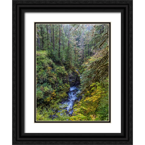 USA-Washington State-Olympic National Park The Sol Duc River runs through forest Black Ornate Wood Framed Art Print with Double Matting by Jaynes Gallery