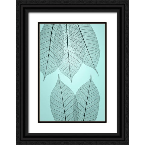 USA- Washington State- Seabeck. Pattern of skeletonized leaves. Black Ornate Wood Framed Art Print with Double Matting by Jaynes Gallery