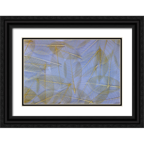 USA- Washington State- Seabeck. Pattern of skeletonized leaves. Black Ornate Wood Framed Art Print with Double Matting by Jaynes Gallery