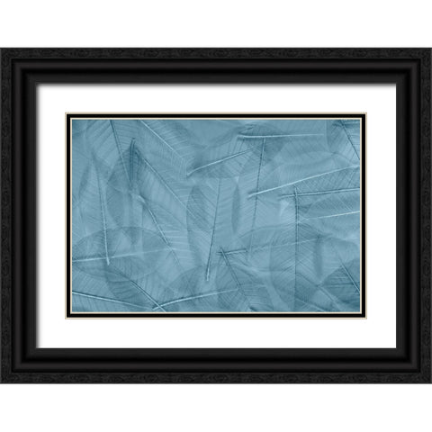 USA- Washington State- Seabeck. Pattern of skeletonized leaves. Black Ornate Wood Framed Art Print with Double Matting by Jaynes Gallery