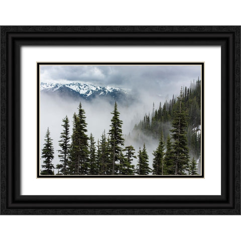 USA-Washington State-Olympic National Park Black Ornate Wood Framed Art Print with Double Matting by Sederquist, Betty