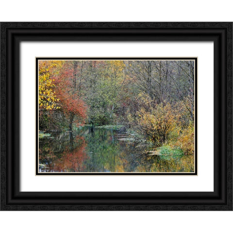 USA- Washington State- Easton and Washington Cascades water way off of Yakima River in Fall Color Black Ornate Wood Framed Art Print with Double Matting by Gulin, Darrell