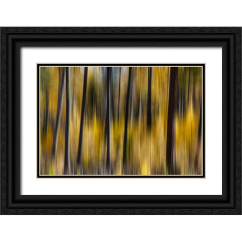 USA- Washington State. East of Twisp on Highway 20 Black Ornate Wood Framed Art Print with Double Matting by Gulin, Darrell