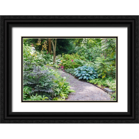 USA- Washington State. Bellevue Botanical garden and shade garden Black Ornate Wood Framed Art Print with Double Matting by Gulin, Darrell