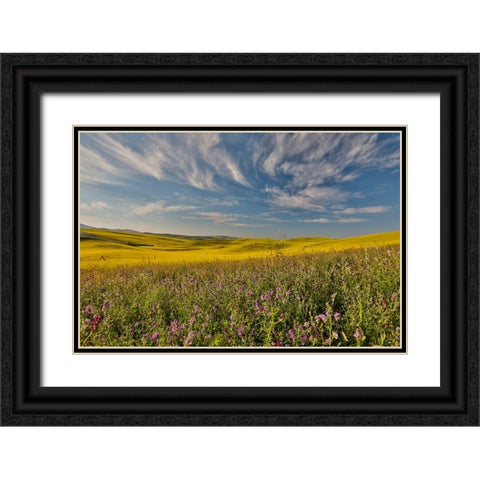 USA- Washington State- Palouse Black Ornate Wood Framed Art Print with Double Matting by Gulin, Darrell