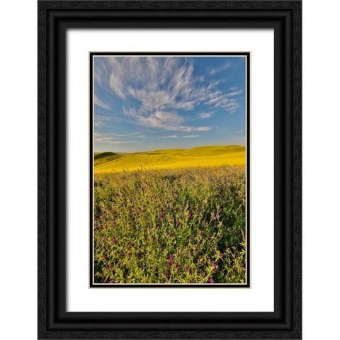 USA- Washington State- Palouse Black Ornate Wood Framed Art Print with Double Matting by Gulin, Darrell