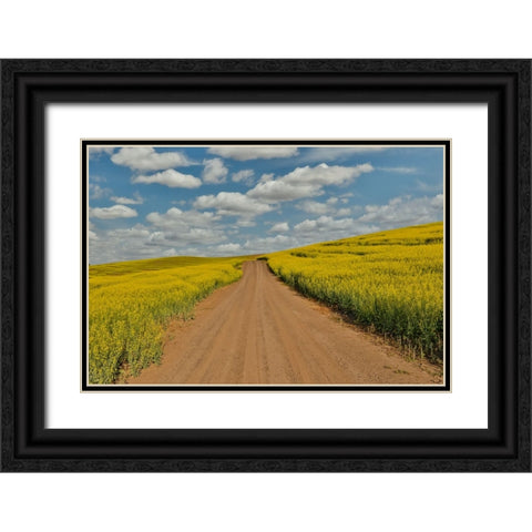 USA- Washington State- Palouse. Springtime landscape dirt roadway and Canola fields Black Ornate Wood Framed Art Print with Double Matting by Gulin, Darrell