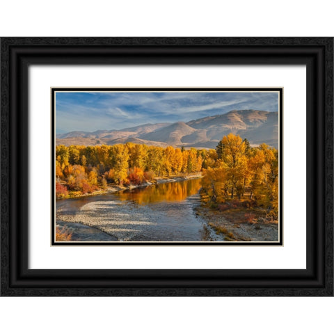 USA- Washington State- Methow Valley and river edged in Fall colored trees. Black Ornate Wood Framed Art Print with Double Matting by Gulin, Darrell