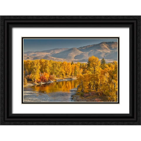 USA- Washington State- Methow Valley and river edged in Fall colored trees. Black Ornate Wood Framed Art Print with Double Matting by Gulin, Darrell
