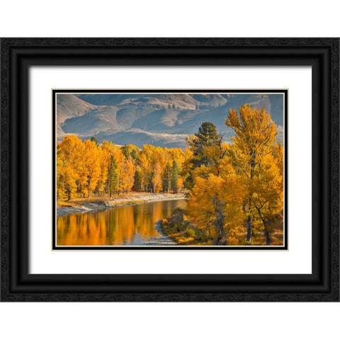 USA- Washington State- Methow Valley and river edged in Fall colored trees. Black Ornate Wood Framed Art Print with Double Matting by Gulin, Darrell