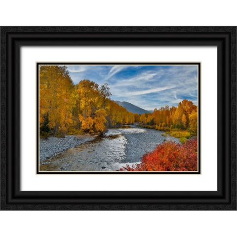 USA- Washington State- Methow Valley and river edged in Fall colored trees. Black Ornate Wood Framed Art Print with Double Matting by Gulin, Darrell