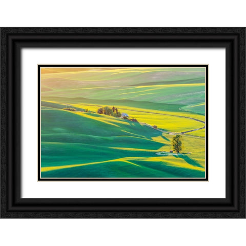 Steptoe Butte State Park-Washington State-USA-Sunset view of wheat fields in the rolling Palouse hi Black Ornate Wood Framed Art Print with Double Matting by Wilson, Emily M.