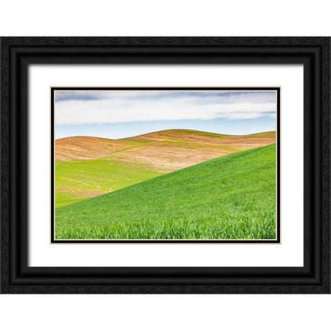 Pullman-Washington State-USA-Rolling wheat fields in the Palouse hills Black Ornate Wood Framed Art Print with Double Matting by Wilson, Emily M.