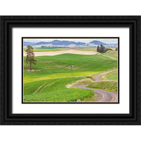 Palouse-Washington State-USA-Dirt road winding through wheat fields in the Palouse hills Black Ornate Wood Framed Art Print with Double Matting by Wilson, Emily M.