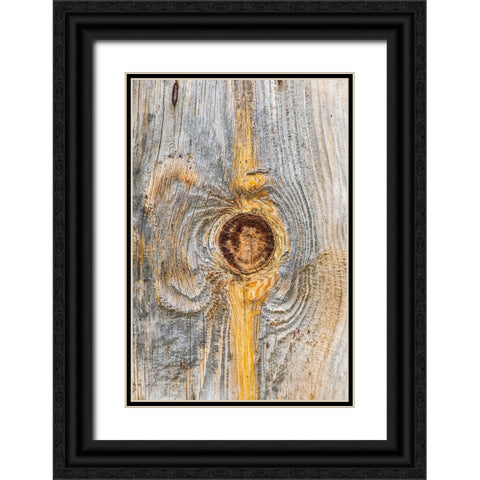 Latah-Washington State-USA-Knot in weathered wood on an old barn Black Ornate Wood Framed Art Print with Double Matting by Wilson, Emily M.