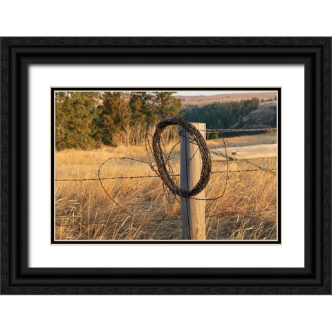 USA- Washington State- Whitman County- Palouse. Barbed wire fence Posts. Black Ornate Wood Framed Art Print with Double Matting by Wilson, Emily M.