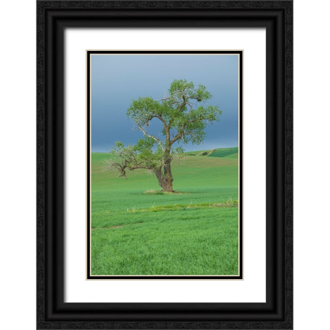 USA- Washington State- Whitman County- Palouse Black Ornate Wood Framed Art Print with Double Matting by Wilson, Emily M.
