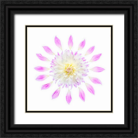 Usa-Washington State-Sammamish Flower Design Black Ornate Wood Framed Art Print with Double Matting by Looney, Hollice
