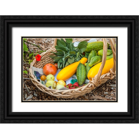 Issaquah-Washington State-USA Basket of freshly harvested produce Black Ornate Wood Framed Art Print with Double Matting by Horton, Janet