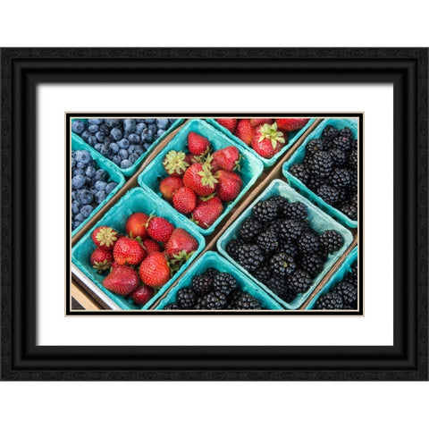 Issaquah-Washington State-USA Pints of freshly harvested strawberries Black Ornate Wood Framed Art Print with Double Matting by Horton, Janet