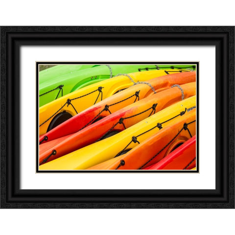 Issaquah-Washington State-USA Colorful kayaks lying on their side Black Ornate Wood Framed Art Print with Double Matting by Horton, Janet
