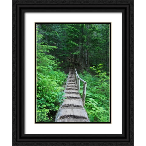 Washington State-Central Cascades-Old Fir tree bridge-on trail to Annette Lake Black Ornate Wood Framed Art Print with Double Matting by Wild, Jamie and Judy