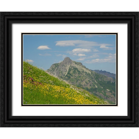 Washington State-Central Cascades-Rampart Ridge-Alta Mountain and wildflowers Black Ornate Wood Framed Art Print with Double Matting by Wild, Jamie and Judy