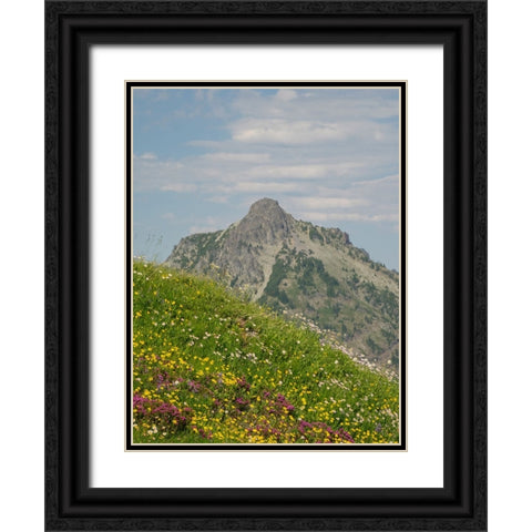 Washington State-Central Cascades-Rampart Ridge-Alta Mountain and wildflowers Black Ornate Wood Framed Art Print with Double Matting by Wild, Jamie and Judy