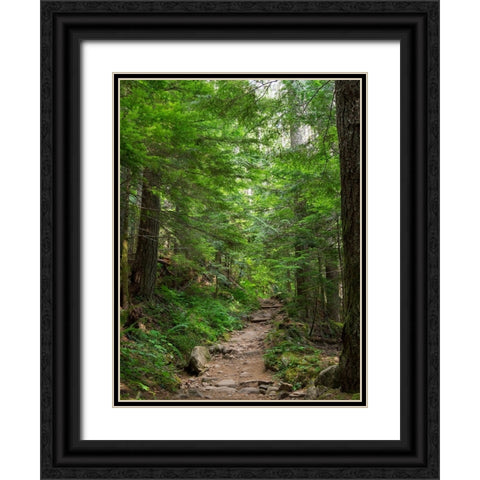 Washington State-Central Cascades-Granite Mountain trail Black Ornate Wood Framed Art Print with Double Matting by Wild, Jamie and Judy