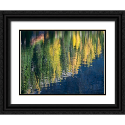 Washington State-North Cascades-Blue Lake-Larch tree reflections Black Ornate Wood Framed Art Print with Double Matting by Wild, Jamie and Judy