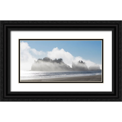 Washington State-Pacific Coast-First Beach James Island in fog Black Ornate Wood Framed Art Print with Double Matting by Wild, Jamie and Judy