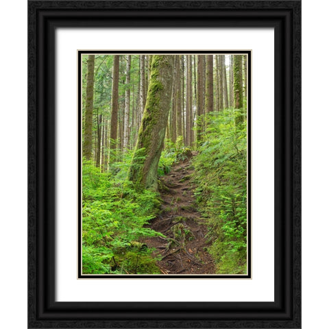 Washington State-Central Cascades Rainy Lake trail Black Ornate Wood Framed Art Print with Double Matting by Wild, Jamie and Judy