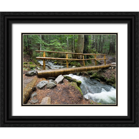 Washington State-Central Cascades Footbridge over Talapus Creek Black Ornate Wood Framed Art Print with Double Matting by Wild, Jamie and Judy