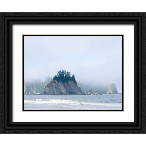 Washington State-Olympic National Park-Rialto Beach James Island Black Ornate Wood Framed Art Print with Double Matting by Wild, Jamie and Judy