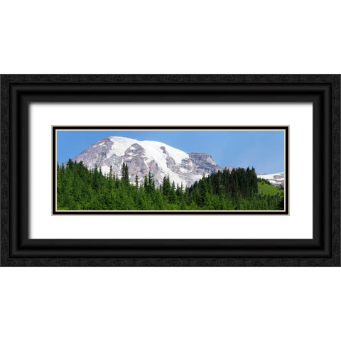 Washington State-Mount Rainier National Park View from Skyline Trail Black Ornate Wood Framed Art Print with Double Matting by Wild, Jamie and Judy
