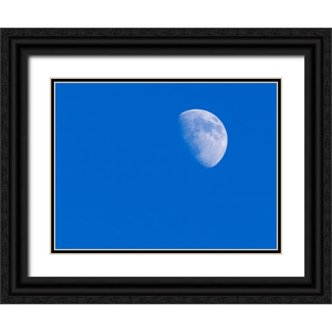 Washington State- first Quarter Moon Black Ornate Wood Framed Art Print with Double Matting by Wild, Jamie and Judy