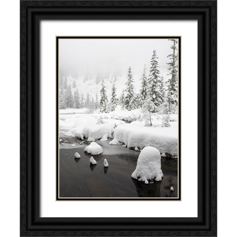 Washington State- Central Cascades. Winter scene at Granite Lake Black Ornate Wood Framed Art Print with Double Matting by Wild, Jamie and Judy