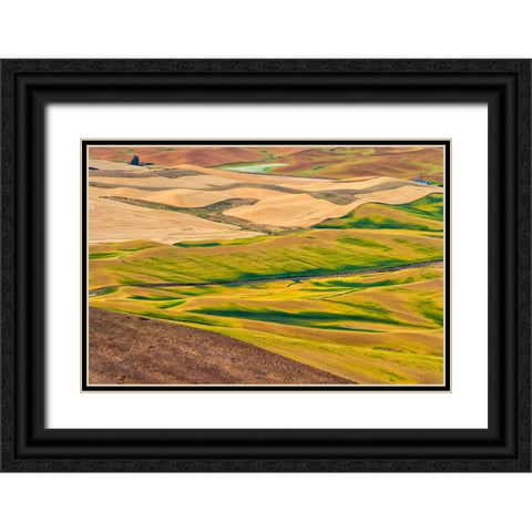 Landscape of rolling wheat field-Palouse-Washington State-USA Black Ornate Wood Framed Art Print with Double Matting by Su, Keren