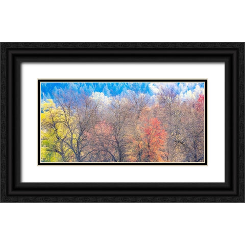 USA-Washington State-Fall City-Pacific Northwest early spring cottonwood Black Ornate Wood Framed Art Print with Double Matting by Gulin, Sylvia