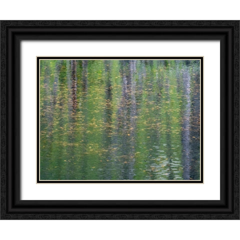 USA-Washington State-Old Cascade Highway off of Highway 2 and pond reflecting alder trees Black Ornate Wood Framed Art Print with Double Matting by Gulin, Sylvia